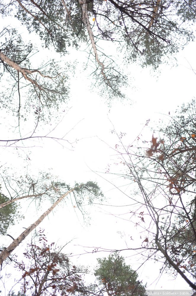 Провожаем осень — Куклы Sylvia Natterer (Сильвия Наттерер): Gotz (фото 9)