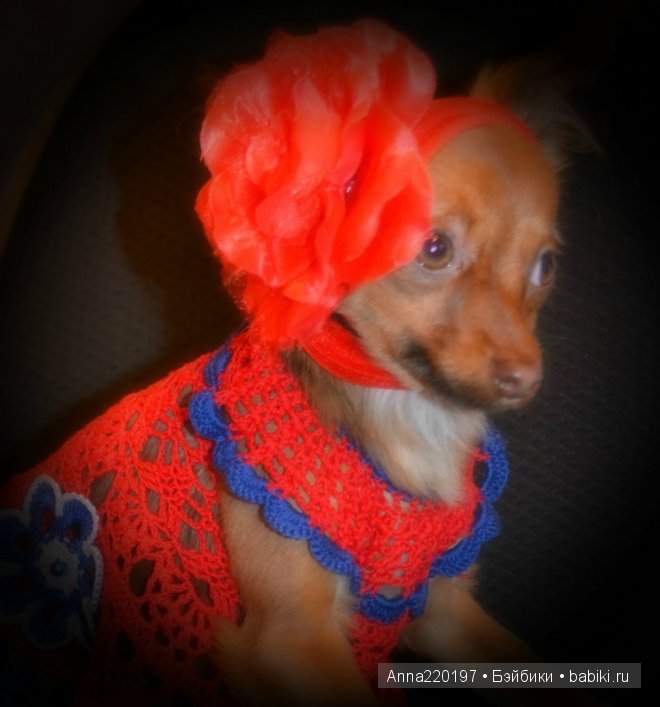 Наша Кармен )))