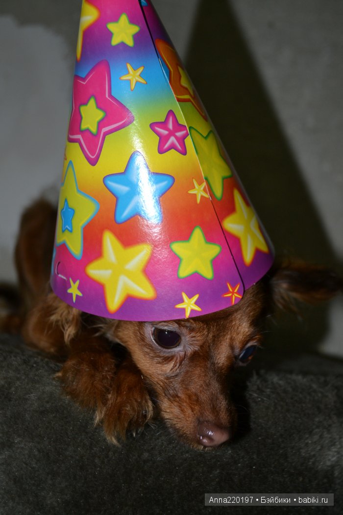 Счастливы вместе — Куклы Monika Levenig и Monika Peter