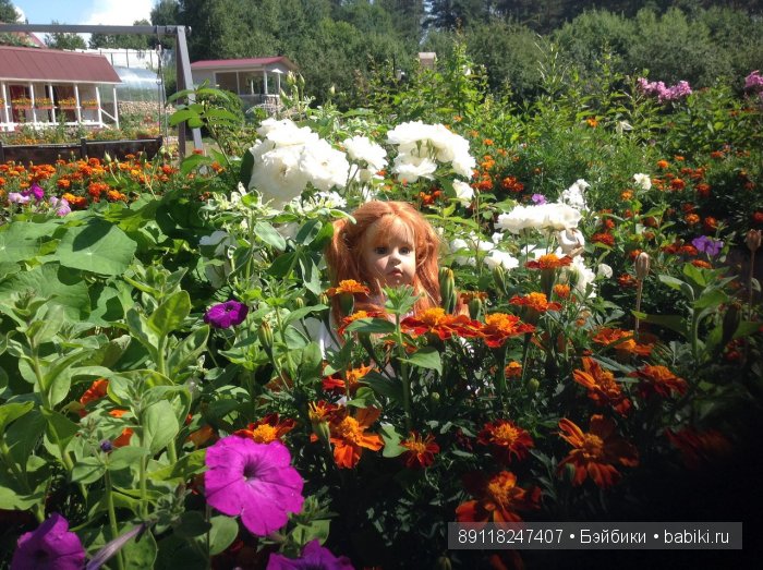 Мы так соскучились по лету (фото 5)