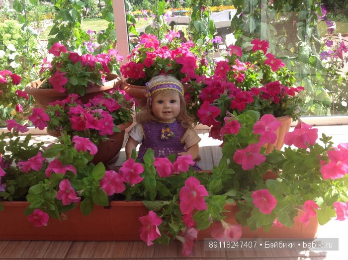 Мы так соскучились по лету