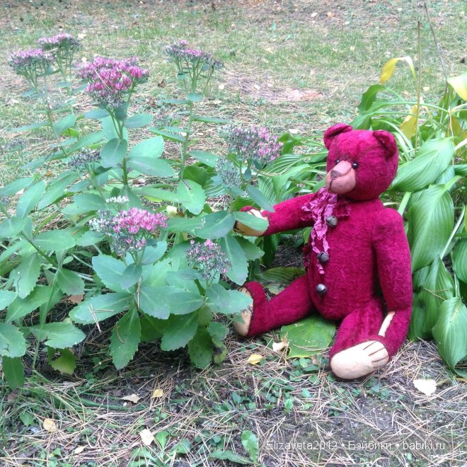 Разрешите представиться: Топтыгин, мишка тедди с ревуном (фото 9)