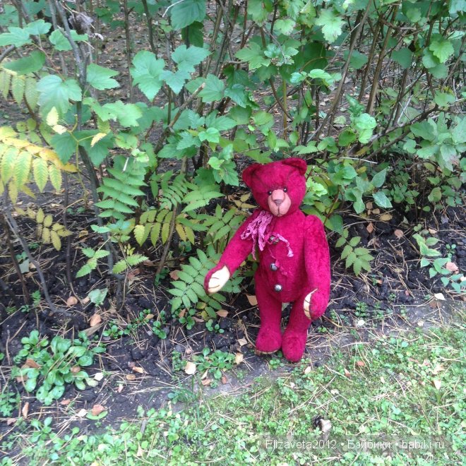 Разрешите представиться: Топтыгин, мишка тедди с ревуном (фото 5)