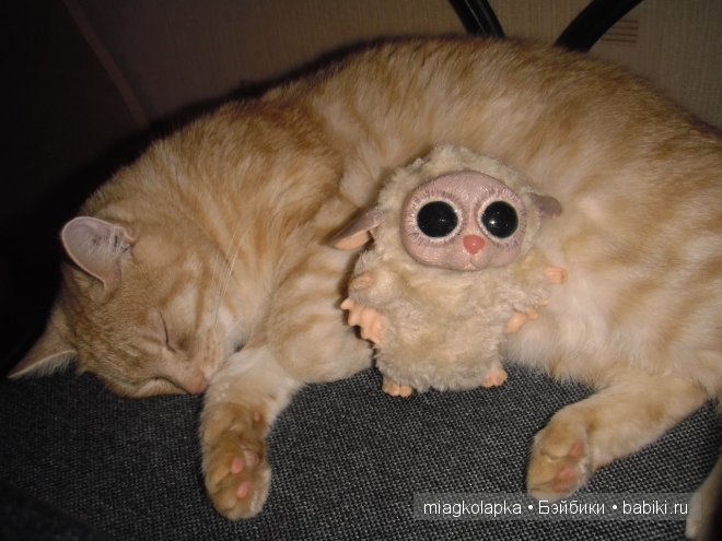 Суселка Пинни, подарок в день рождения | Бэйбики Суселка Пинни, подарок в день рождения (фото 5)