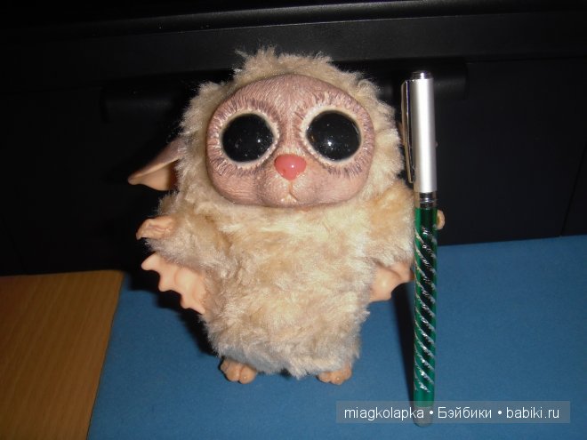 Суселка Пинни, подарок в день рождения | Бэйбики Суселка Пинни, подарок в день рождения