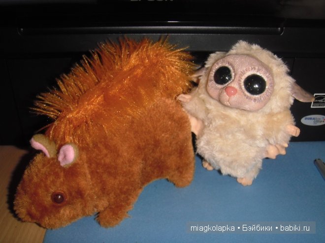 Суселка Пинни, подарок в день рождения | Бэйбики Суселка Пинни, подарок в день рождения (фото 2)