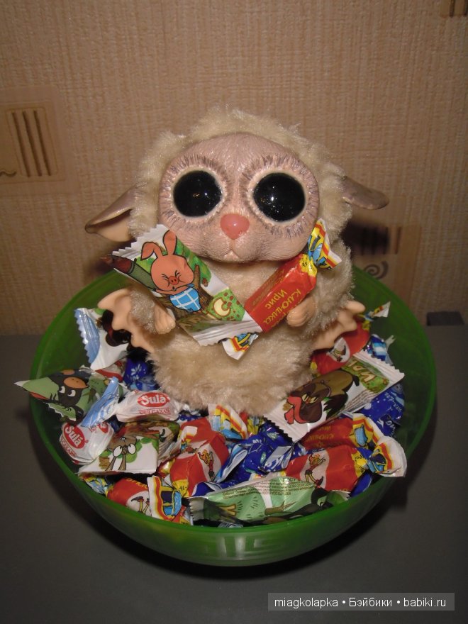 Суселка Пинни, подарок в день рождения (фото 10)