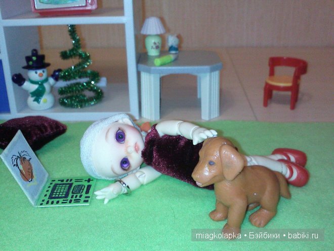 Никуськины мечты..... puki - puki Niko (фото 3)