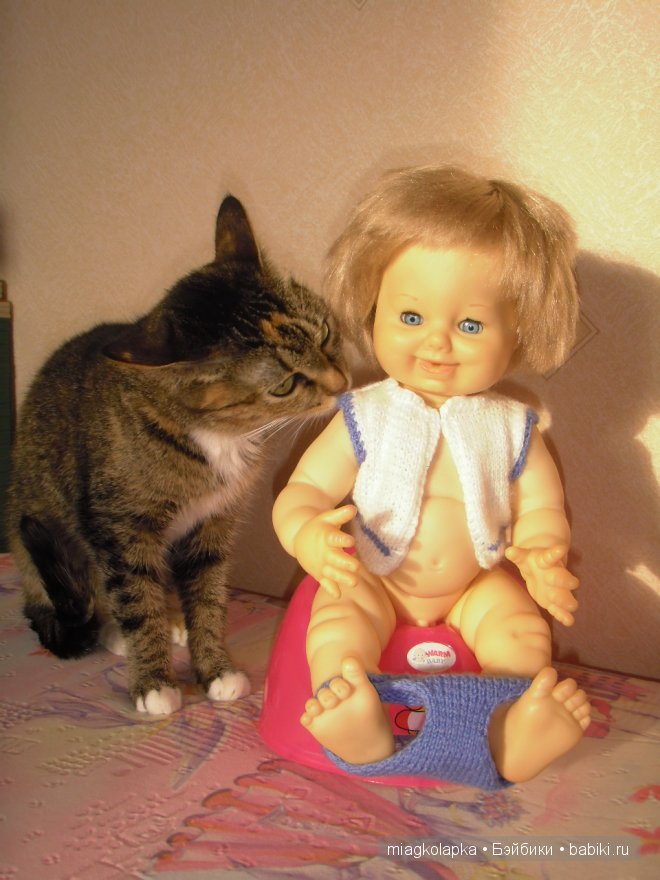 Солнечный мальчик.Или история о том,как голубоглазик Ромка попал к нам домой (фото 5)