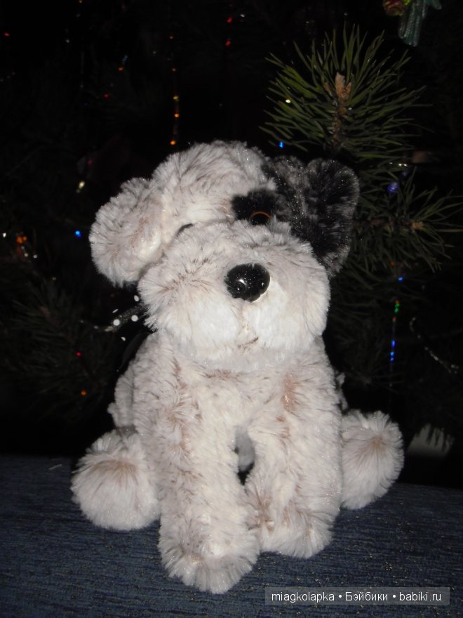 Котёнок Мэсси, тюленёнок Зёзя и собачка Варя (фото 3)