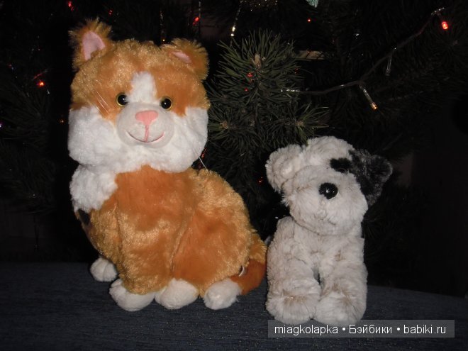 Котёнок Мэсси, тюленёнок Зёзя и собачка Варя (фото 2)