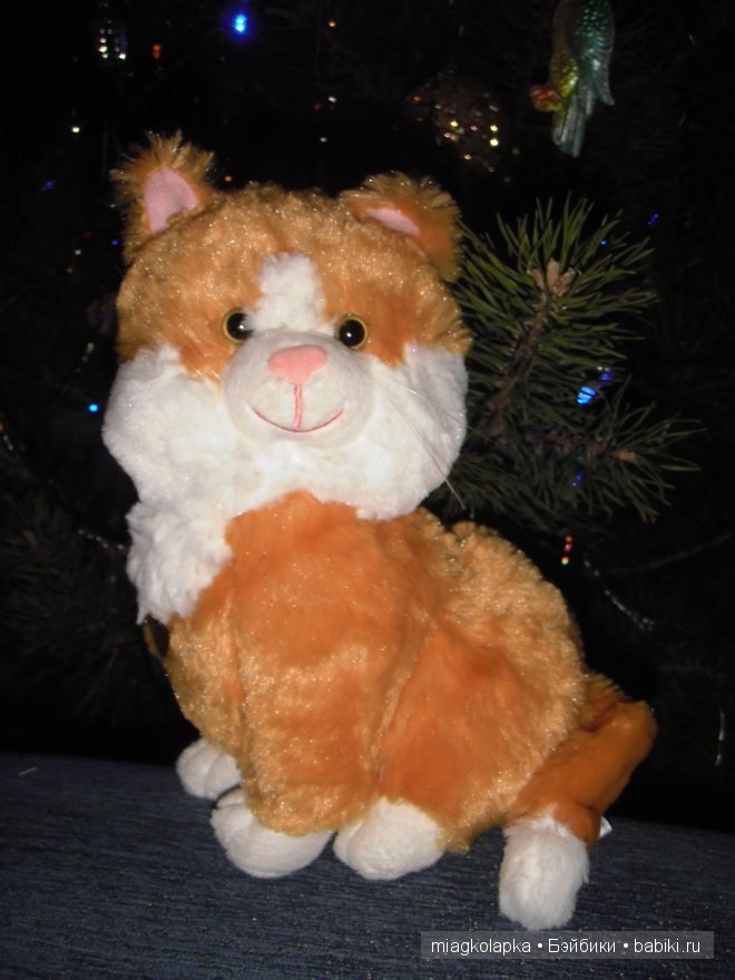 Котёнок Мэсси, тюленёнок Зёзя и собачка Варя