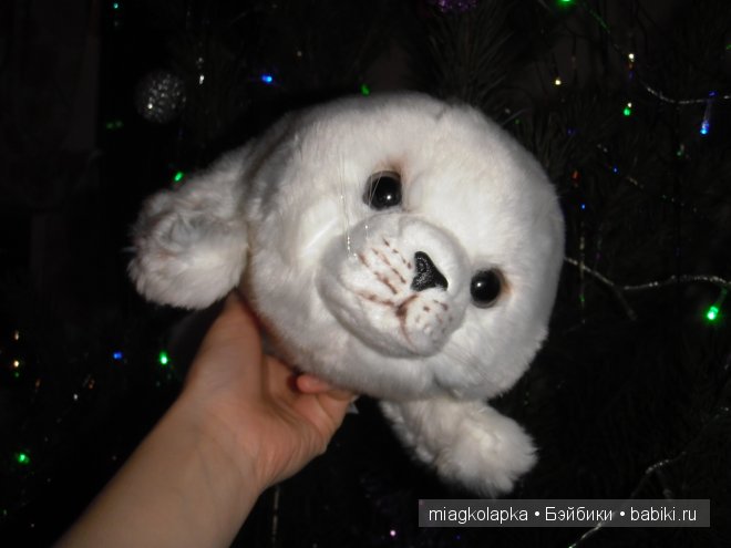 Котёнок Мэсси, тюленёнок Зёзя и собачка Варя (фото 7)