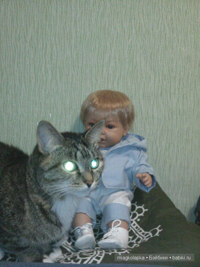 Весна....и мои Мяуки — Дневник miagkolapka