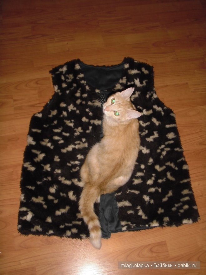 Весна....и мои Мяуки — Дневник miagkolapka