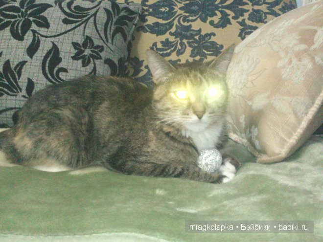 Весна....и мои Мяуки — Дневник miagkolapka (фото 9)