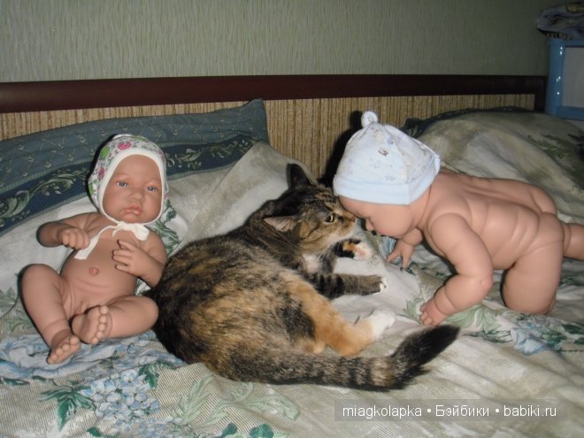 Весна....и мои Мяуки — Дневник miagkolapka