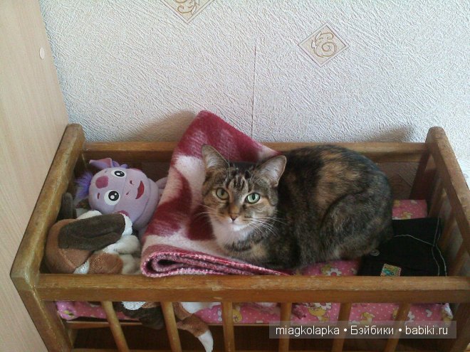 Весна....и мои Мяуки — Дневник miagkolapka