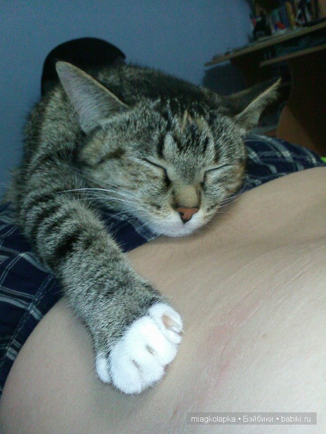 Весна....и мои Мяуки — Дневник miagkolapka (фото 6)