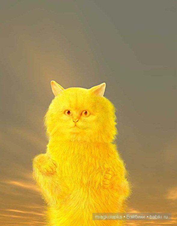 Весна....и мои Мяуки — Дневник miagkolapka