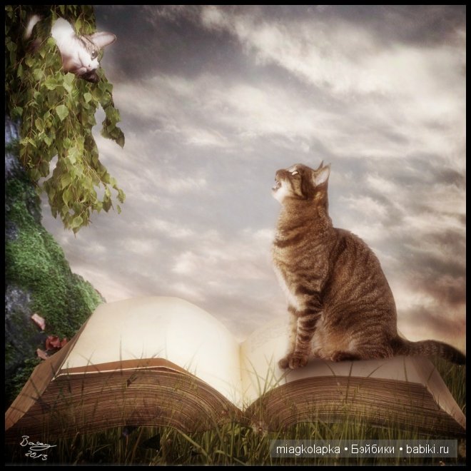 Весна....и мои Мяуки — Дневник miagkolapka