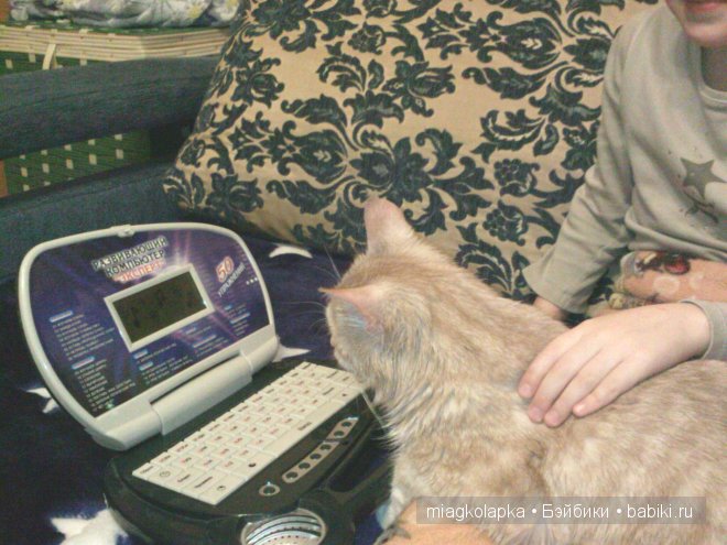 Весна....и мои Мяуки — Дневник miagkolapka