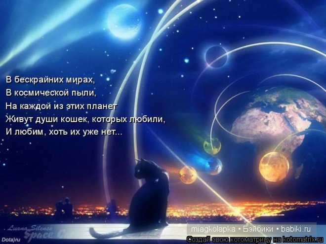 Весна....и мои Мяуки — Дневник miagkolapka