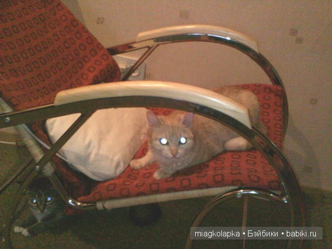 Весна....и мои Мяуки — Дневник miagkolapka