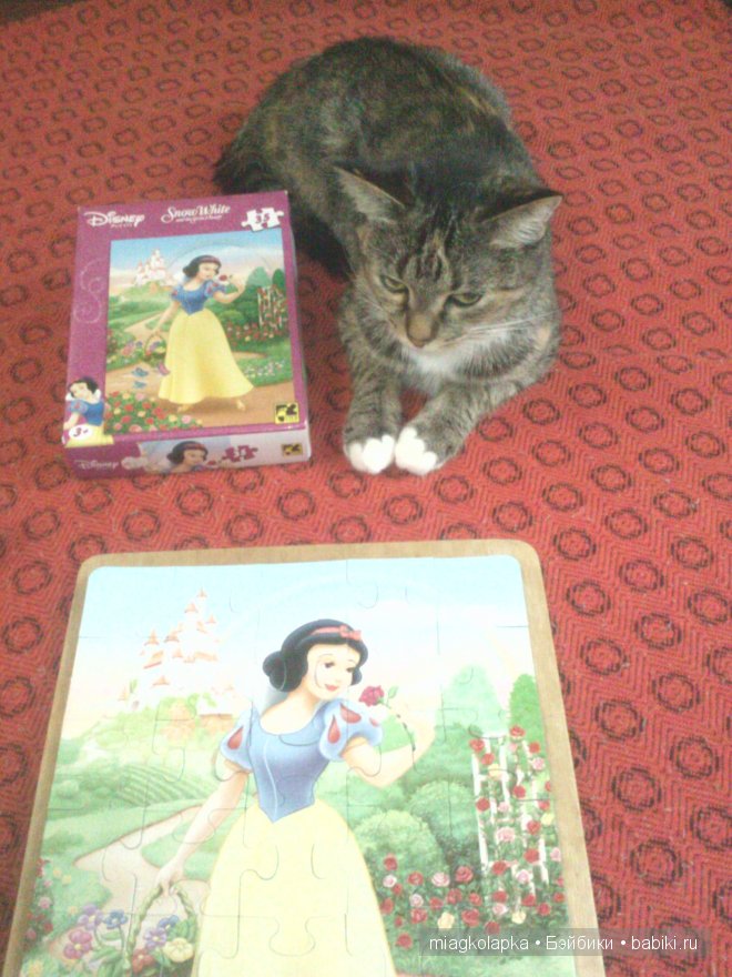 Весна....и мои Мяуки — Дневник miagkolapka (фото 3)