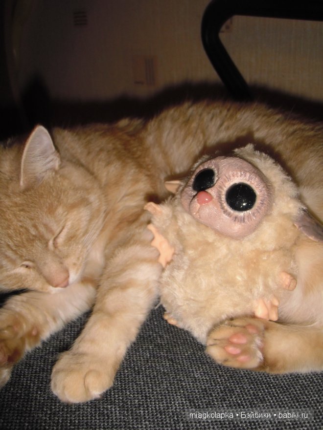 Весна....и мои Мяуки — Дневник miagkolapka