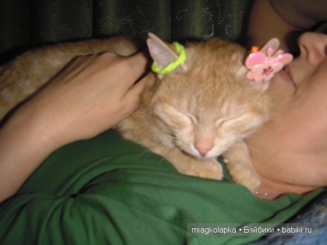 Весна....и мои Мяуки — Дневник miagkolapka
