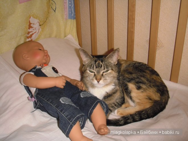 Весна....и мои Мяуки — Дневник miagkolapka