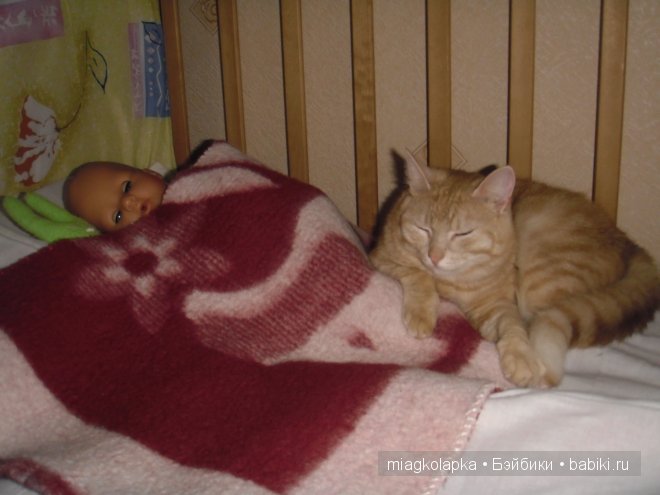 Весна....и мои Мяуки — Дневник miagkolapka