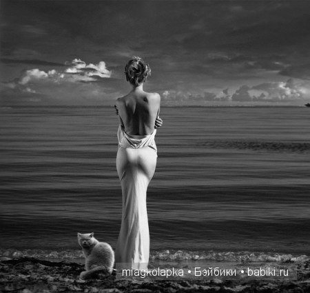 Весна....и мои Мяуки — Дневник miagkolapka