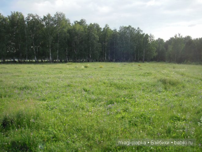 Окунемся в лето,кто со мной??? или природа нашего края