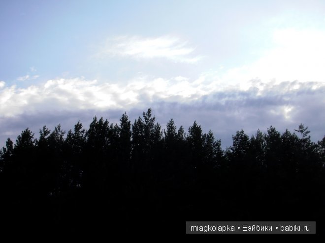 Окунемся в лето,кто со мной??? или природа нашего края