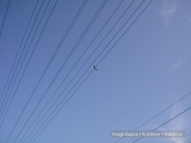 Окунемся в лето,кто со мной??? или природа нашего края