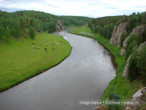 Окунемся в лето,кто со мной??? или природа нашего края