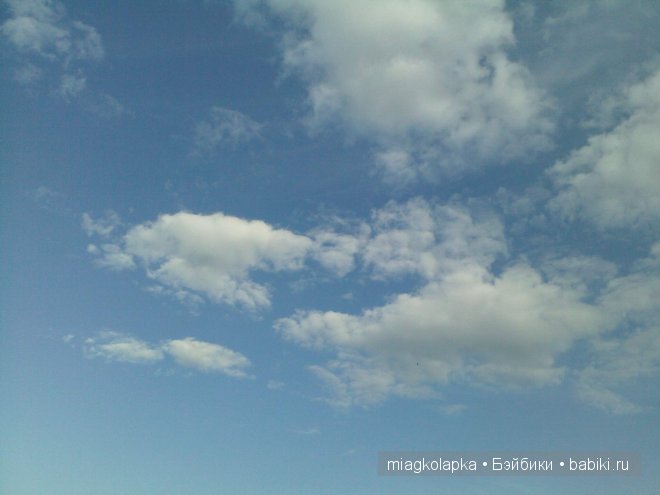 Окунемся в лето,кто со мной??? или природа нашего края