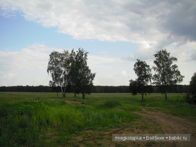 Окунемся в лето,кто со мной??? или природа нашего края