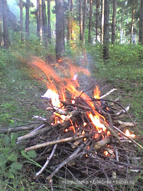 Окунемся в лето,кто со мной??? или природа нашего края