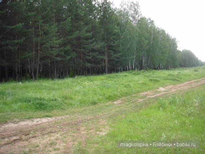 Окунемся в лето,кто со мной??? или природа нашего края