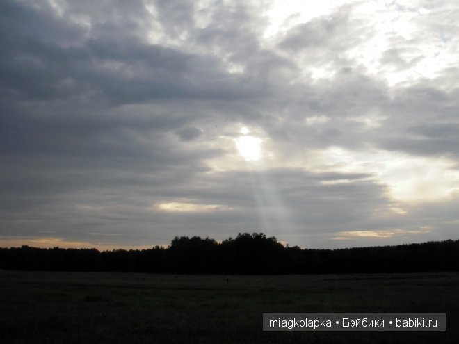Окунемся в лето,кто со мной??? или природа нашего края