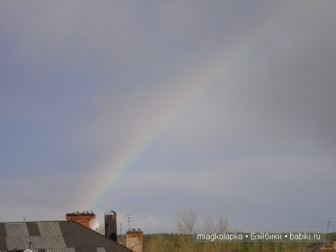 Окунемся в лето,кто со мной??? или природа нашего края
