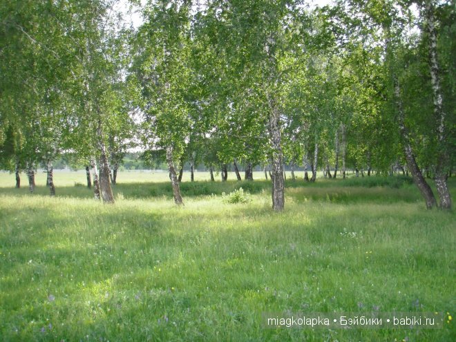 Окунемся в лето,кто со мной??? или природа нашего края