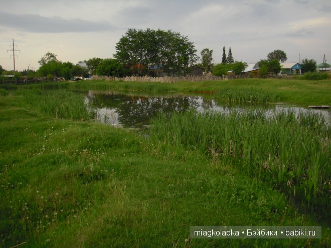 Окунемся в лето,кто со мной??? или природа нашего края