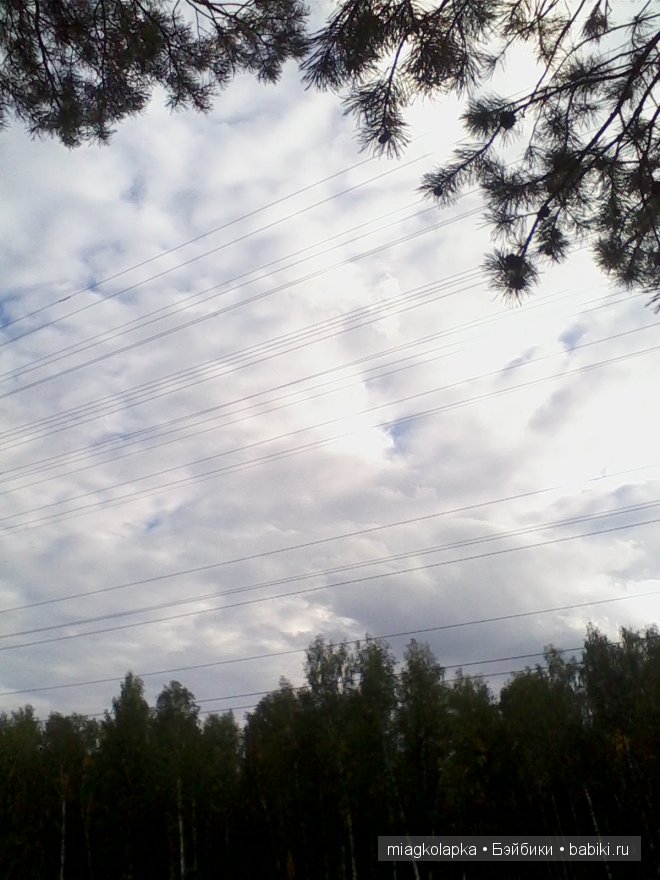 Окунемся в лето,кто со мной??? или природа нашего края