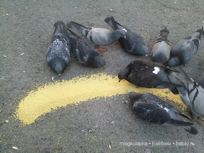 Окунемся в лето,кто со мной??? или природа нашего края