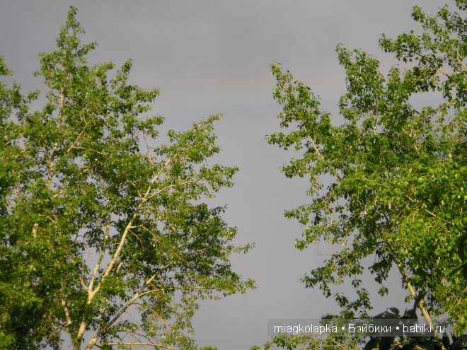 Окунемся в лето,кто со мной??? или природа нашего края