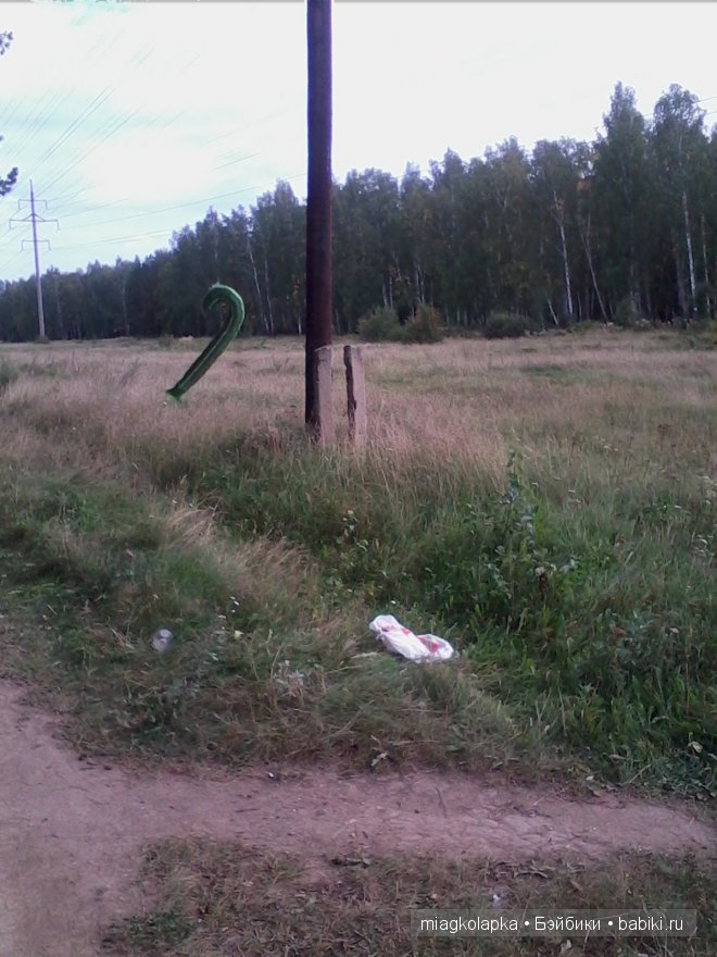 Окунемся в лето,кто со мной??? или природа нашего края